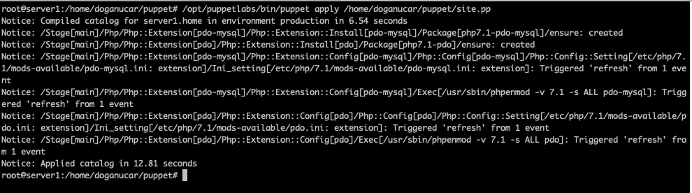 puppet installation on server screenshot